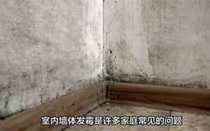 室内墙体发霉怎样彻底处理装修重新装修