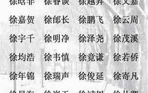 徐姓取名字大全男孩名字寓意