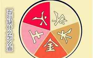 属猪1995山头火命五行缺什么