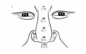 鼻子上长白毛面相学