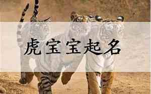 属虎的人取名字带什么偏旁好