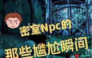 密室逃脱npc一个月能挣多少钱