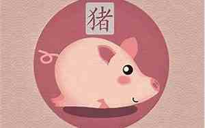 属马哪年出生的