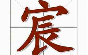 龙宝宝用宸字取名好吗