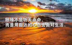 对生命感慨的句子有哪些