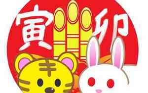 寅卯年指的是哪年
