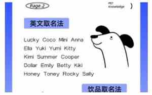 小狗狗取名字怎样才能好听