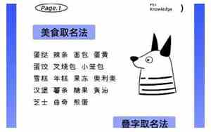 小母狗取名字大全洋气的
