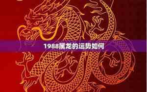 1988年的人在2022年的运势