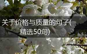价格与质量的经典语录