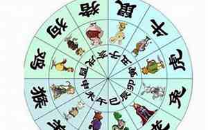 属兔的人取名字带什么偏旁好