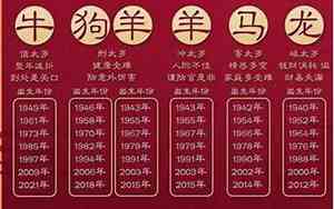 2023五行属什么的