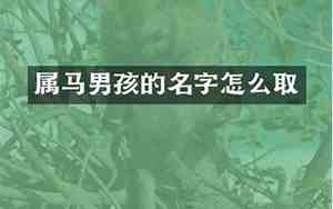 属马的取名字宜用字,忌什么字