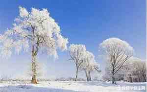 冬天雪景的好句子大全摘抄