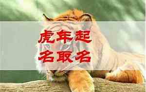 属虎取名字大全集女孩