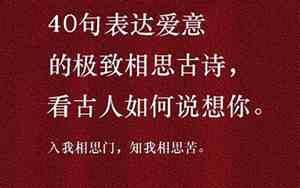 对面相思如何理解诗句呢