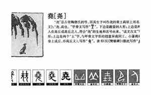 尧字最忌讳三个属相