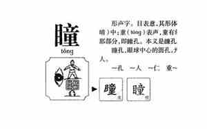 瞳字取名寓意