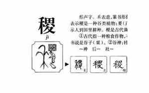 稷字取名会不会太大了