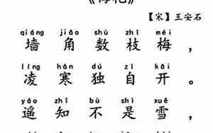 二年级梅花句子怎么写
