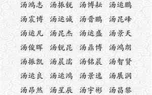 汤姓男孩取名100分